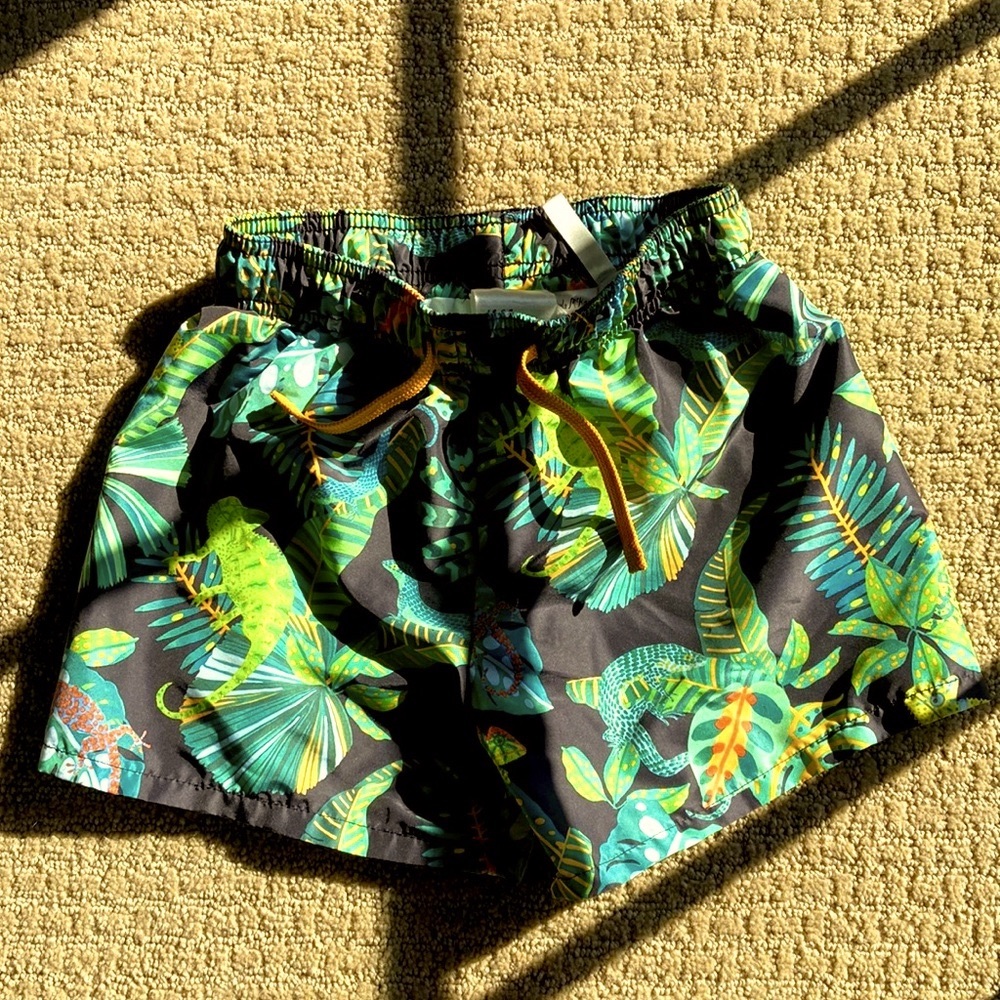 🦎 EUC H&M x Angela McKay Swim Shorts